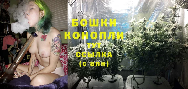СК Каменка