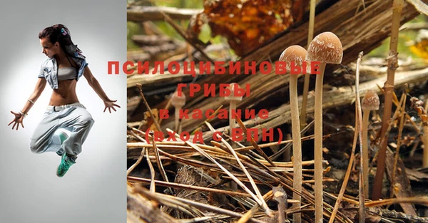 гашик Иннополис