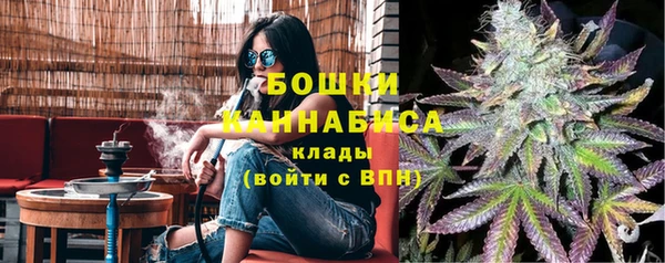 ECSTASY Инсар