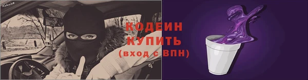 СК Каменка