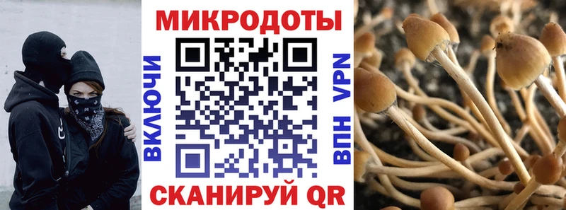 Галлюциногенные грибы GOLDEN TEACHER как найти наркотики Мышкин